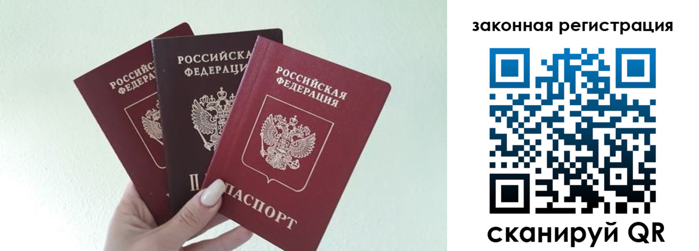 прописка 2025 в Белой Калитве